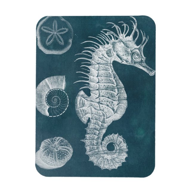 Azure Seahorse Study I Magnet (Vertical)