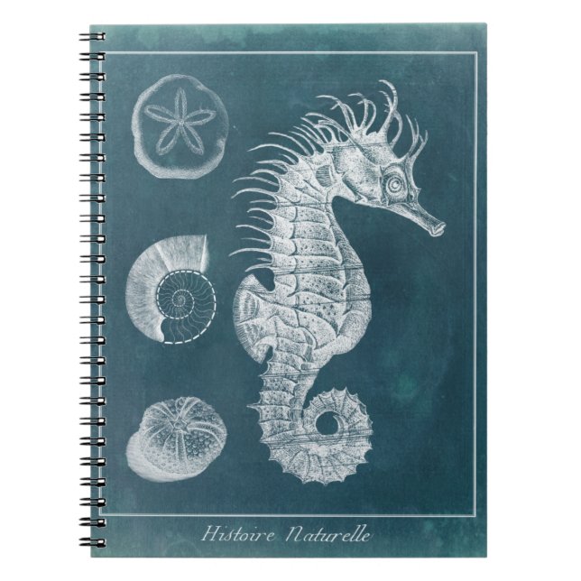 Azure Seahorse Study I Notebook (Front)
