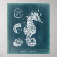 Azure Seahorse Study I