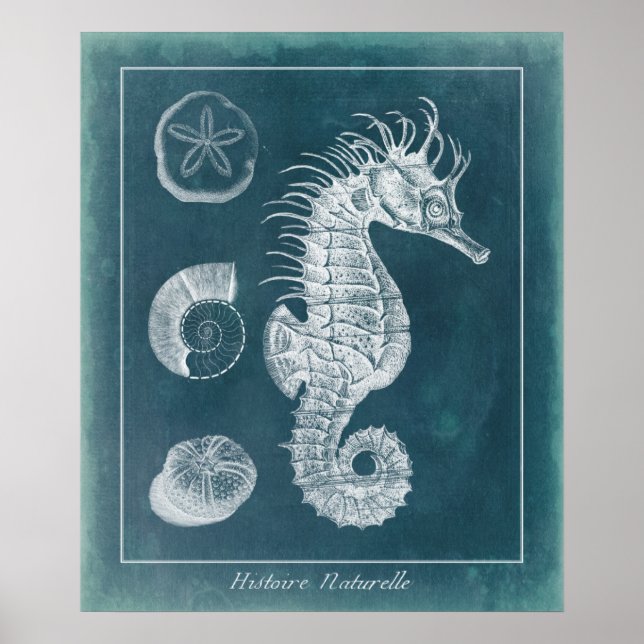 Azure Seahorse Study I Poster (Front)