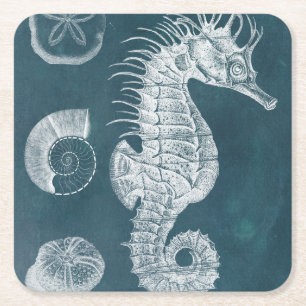 Azure Seahorse Study I Square Paper Coaster