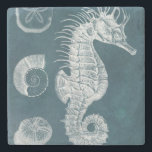 Azure Seahorse Study I Stone Coaster<br><div class="desc">Marine Life</div>