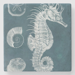 Azure Seahorse Study I Stone Coaster