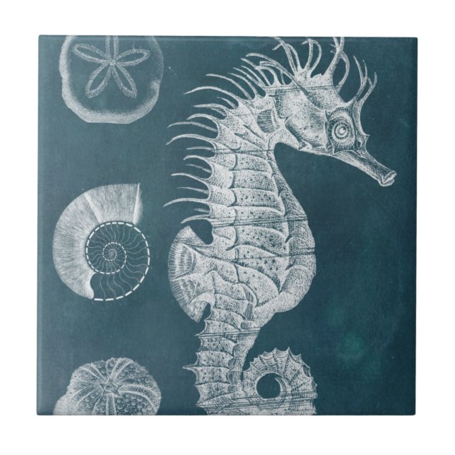 Azure Seahorse Study I Tile (Front)