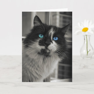 Azure Soul Black Cat Blue Eyes Greeting Card