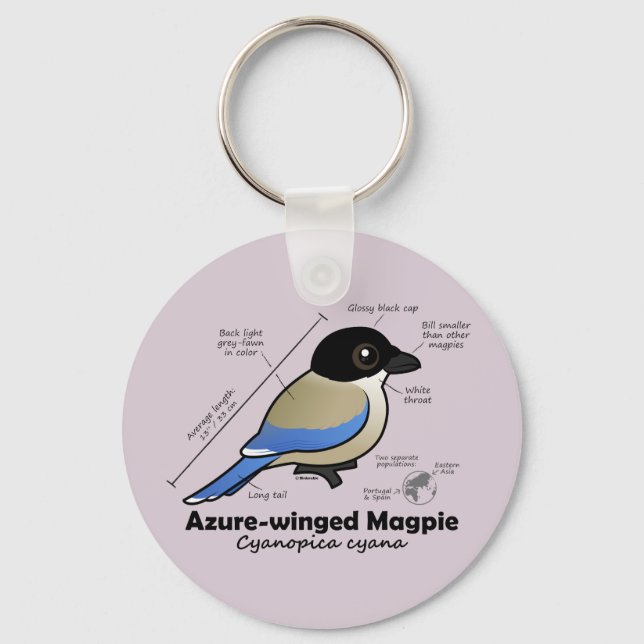 Azure-winged Magpie Statistics Keychain (Front)