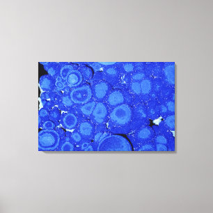 Azurite, an ore of Copper, Arizona, USA Canvas Print