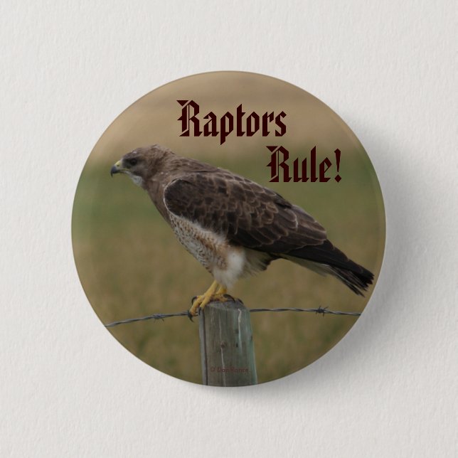 B10 Swainson's Hawk 2 Inch Round Button (Front)