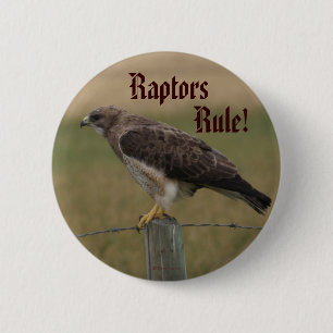 B10 Swainson's Hawk 2 Inch Round Button