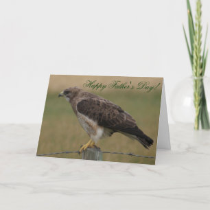 B10 Swainson's Hawk Card