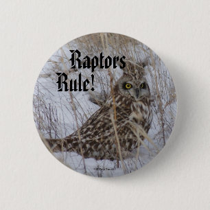 B11 Short-eared Owl 2 Inch Round Button