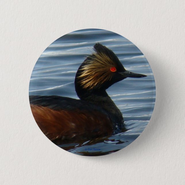 B13 Eared Grebe 2 Inch Round Button (Front)