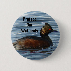 B13 Eared Grebe 2 Inch Round Button