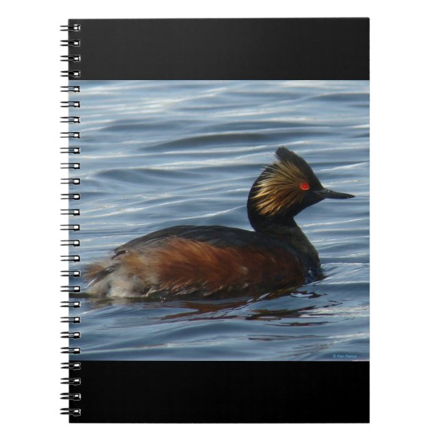 B13 Eared Grebe Notebook (Front)
