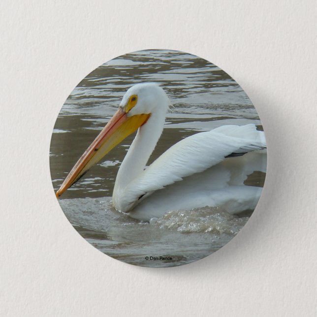 B14 White Pelican 2 Inch Round Button (Front)