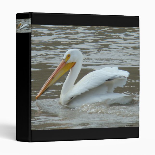 B14 White Pelican Binder (Front/Spine)