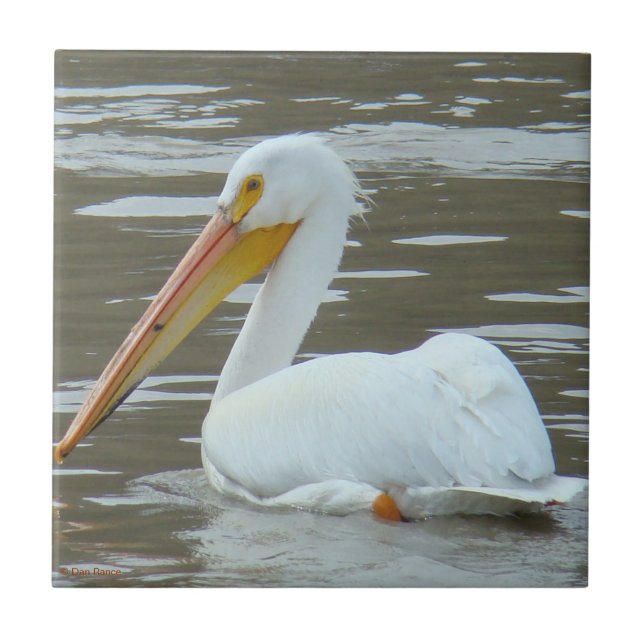 B15 White Pelican on Muddy Water Tile (Front)