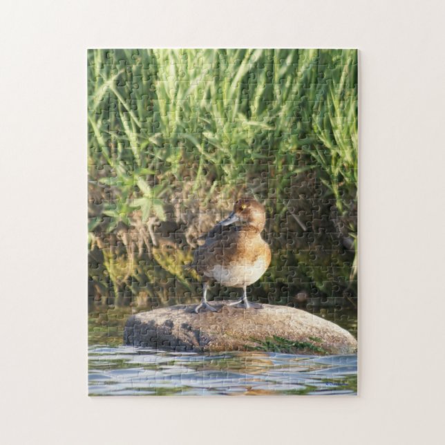 B18 Lesser Scaup Standing on Rock Jigsaw Puzzle (Vertical)