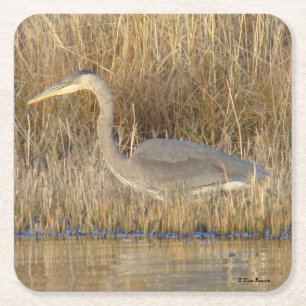 B19 Juvenile Blue Heron Square Paper Coaster