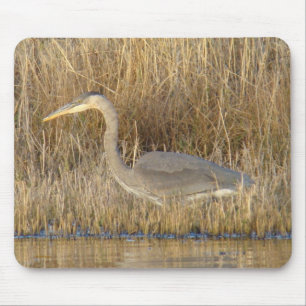 B19 Juvenile Great Blue Heron Mouse Pad