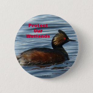 B1 Eared Grebe 2 Inch Round Button