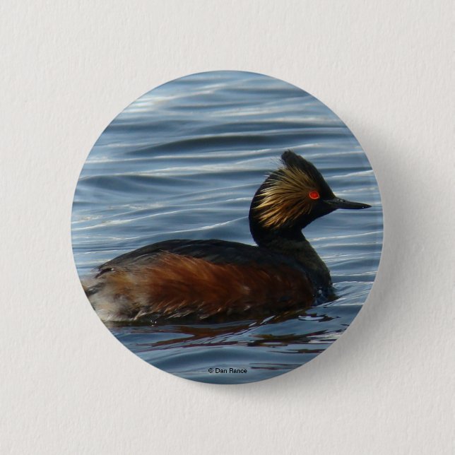 B1 Eared Grebe 2 Inch Round Button (Front)