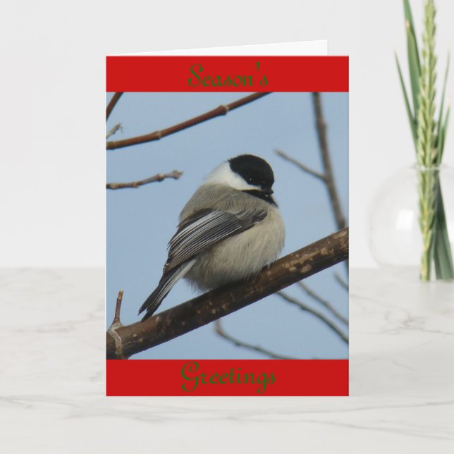 B21 Black Capped Chickadee Holiday Card (Front)