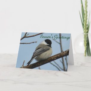B21 Black Capped Chickadee Holiday Card