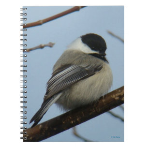 B21 Black Capped Chickadee Notebook