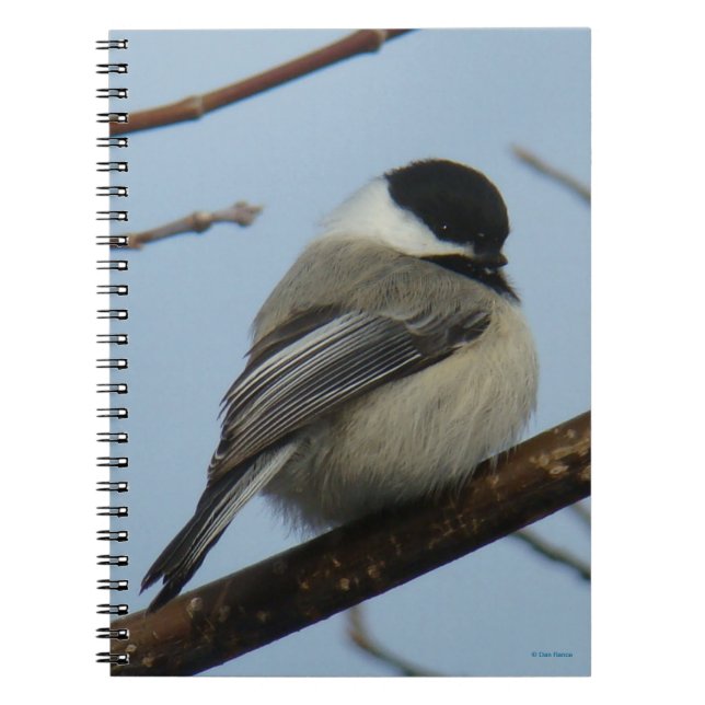 B21 Black Capped Chickadee Notebook (Front)