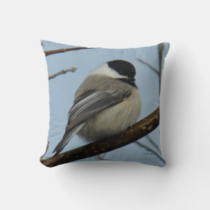 B21 Black Capped Chickadee Throw Pillow