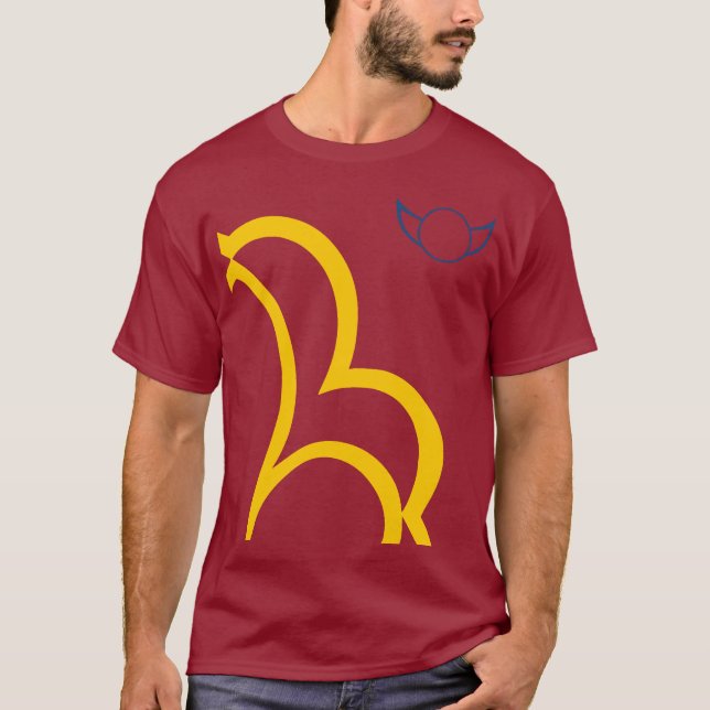 b21b try 1 T-Shirt (Front)