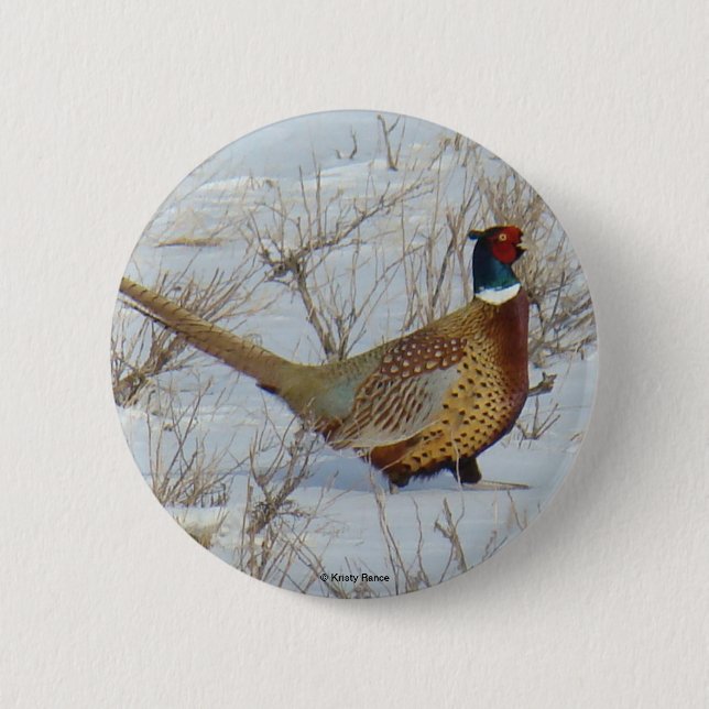 B22 Ring-necked Pheasant 2 Inch Round Button (Front)