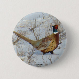 B22 Ring-necked Pheasant 2 Inch Round Button