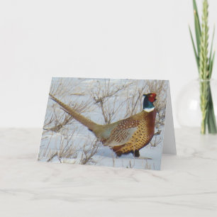 B22 Ring-necked Pheasant Card