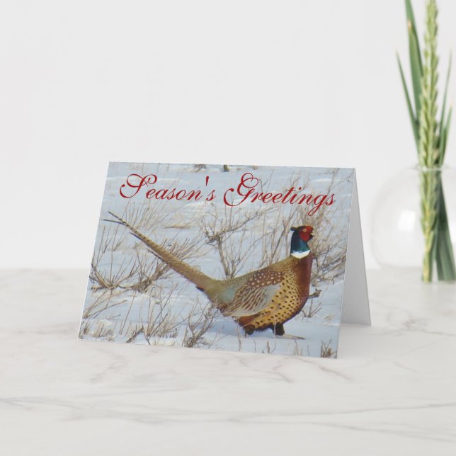 B22 Ring-necked Pheasant Holiday Card (Front)