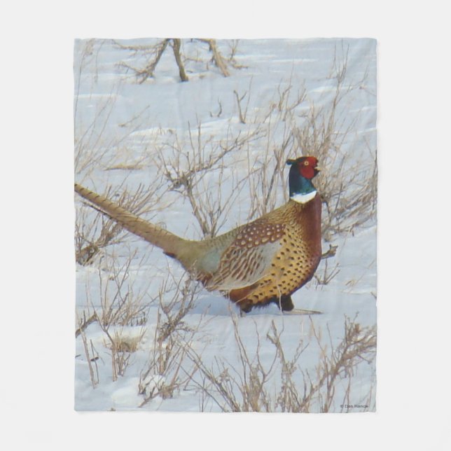 B22 Ring-necked Pheasant in Snow Fleece Blanket (Front)