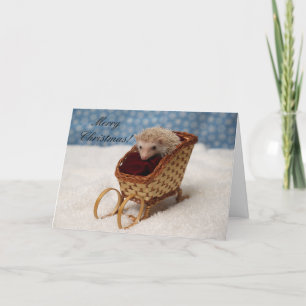 B238777, Merry Christmas! Holiday Card