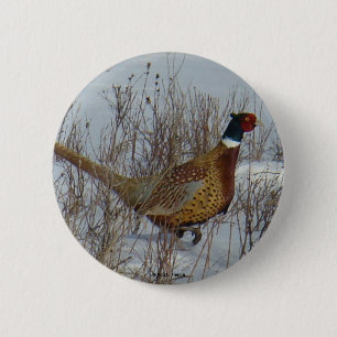 B23 Ring-necked Pheasant . 2 Inch Round Button