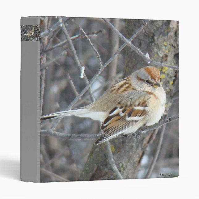 B24 Common Sparrow Binder (Front/Spine)