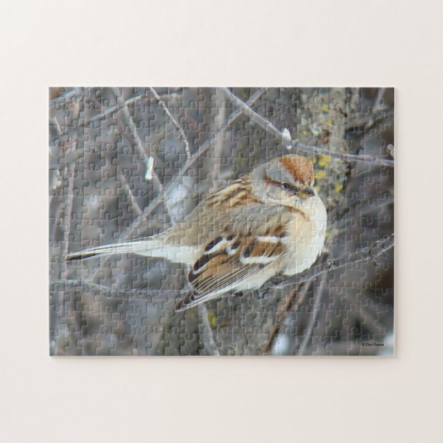 B24 Common Sparrow Jigsaw Puzzle (Horizontal)