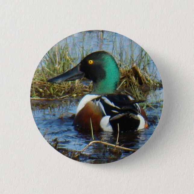 B25 Northern Shoveler 2 Inch Round Button (Front)