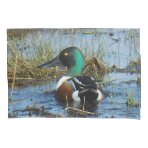 B25 Northern Shoveler Drake Spoonbill Pillowcase