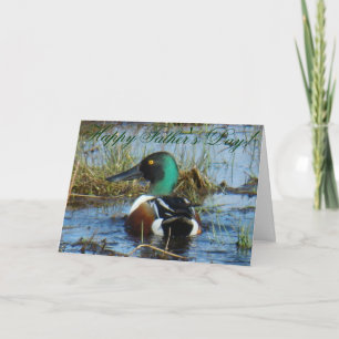 B25 Northern Shoveler Duck Card