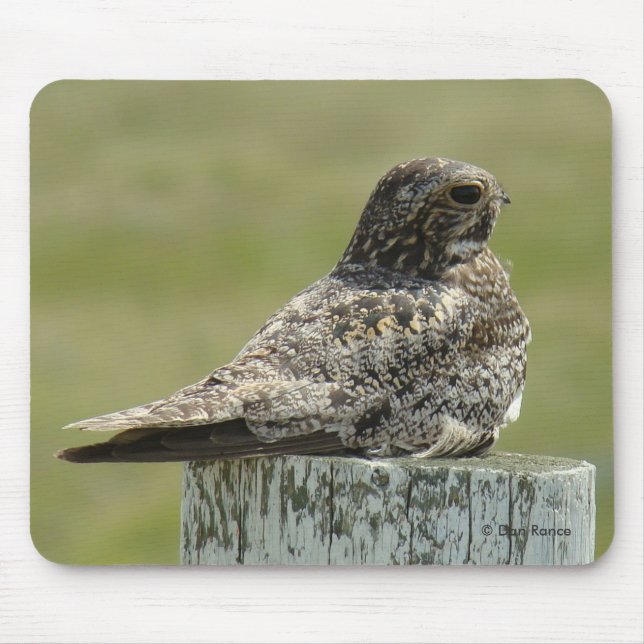 B2 Common Nighthawk Mouse Pad (Front)