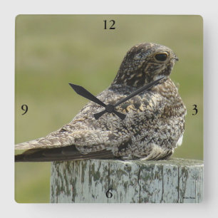 B2 Common Nighthawk Square Wall Clock