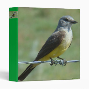 B31 Western Kingbird Binder