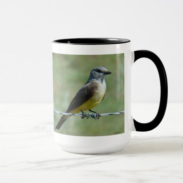 B31 Western Kingbird Mug (Right)