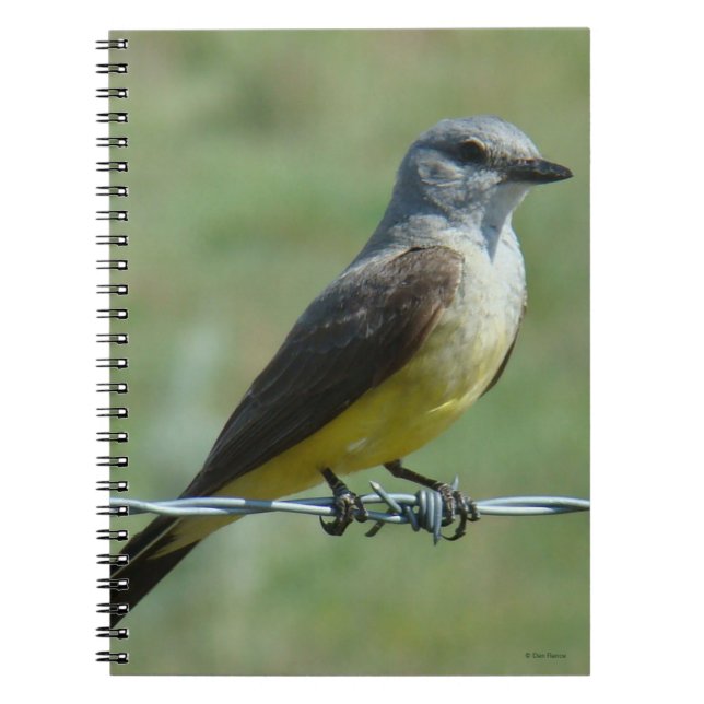 B31 Western Kingbird Notebook (Front)