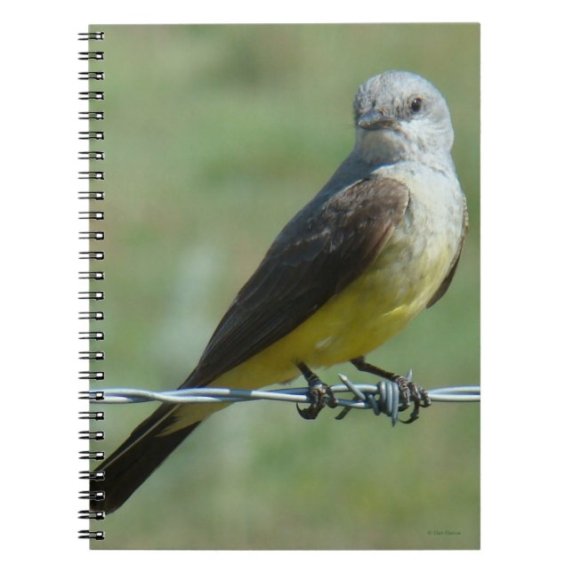 B32 Western Kingbird Notebook (Front)